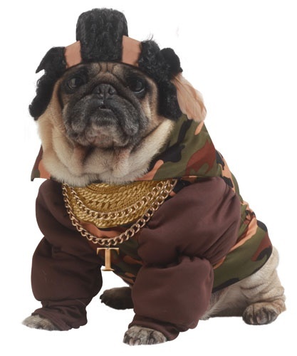 In Honor Of Bark-tober: Pugs Of Halloween 